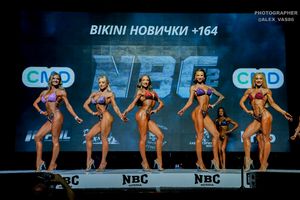 BIKINI НОВИЧКИ +164